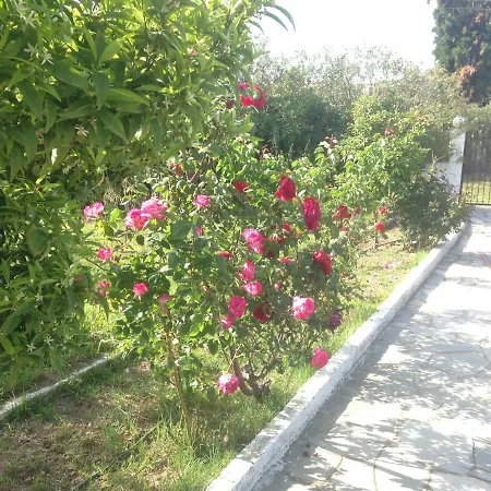 Stella Villa Gerakini